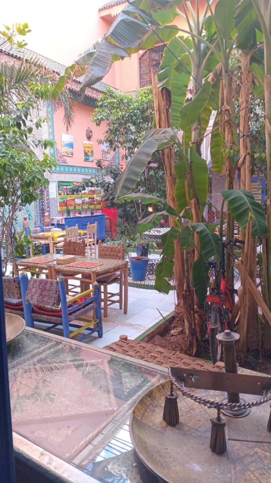 Riad Carole - Perfect For Families & Groups Marrákes Kültér fotó